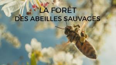 La forêt des abeilles sauvages