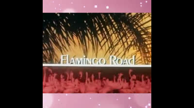 Flamingo Road