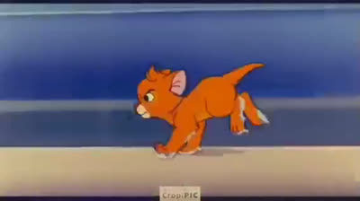 Curious Oliver movie