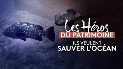 Les héros du patrimoine - Ils veulent sauver l'océan