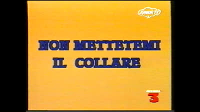 54 Ciao, io sono Michael! Non mettetemi il collare
