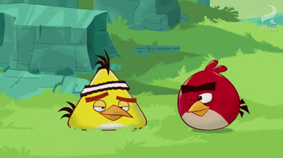 Angry Birds Toons Episode 1 |FULL EPISODE|