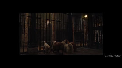 Les irréductibles le Mystère des Loups (Film d'animation, 2022) Version Originale