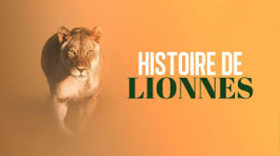 Histoires de lionnes