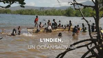 L'Indien, un océan sauvage