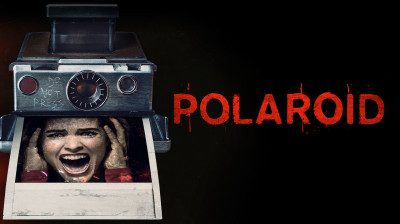 Polaroid 2019 (DEMANDE DE UP)
