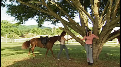 Dueña y Señora - Capitulo 3