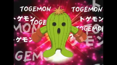 Digimon Adventure - A Furia de Gomamon (Episódio 7 )